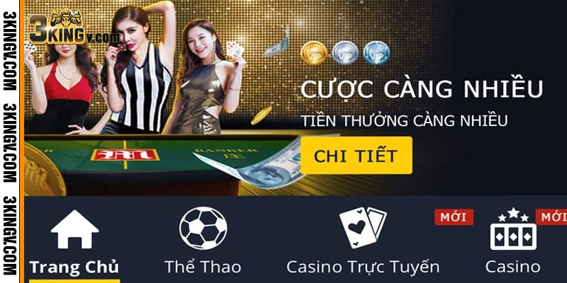 Thể thao 3King là gì Sân chơi cá cược bóng đá hợp pháp